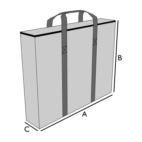 Bolsa de transporte para Bellas Artes